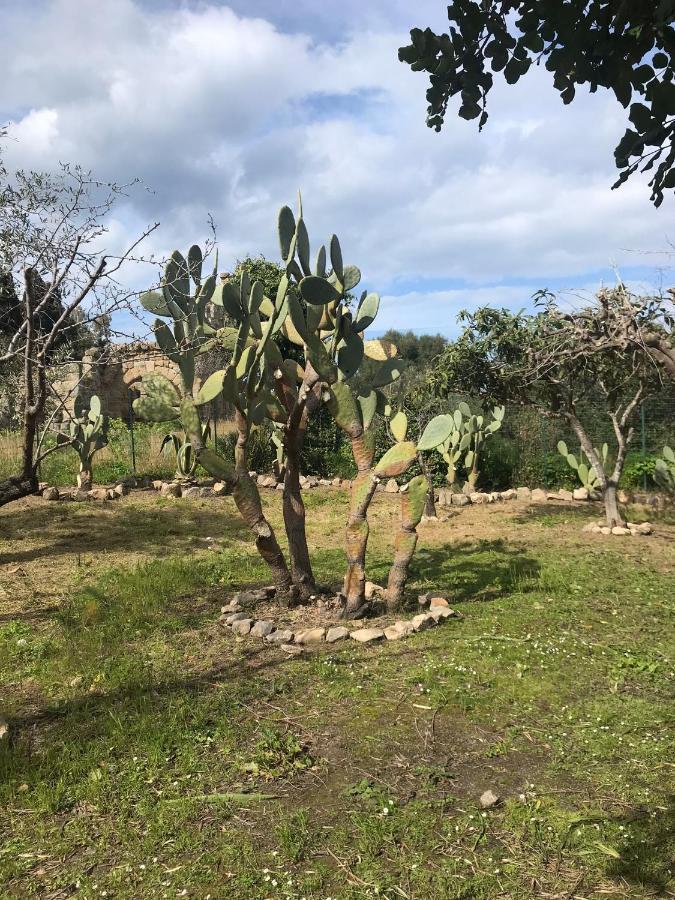 A Casa Di Peppino Villa Greco Tindari Kültér fotó