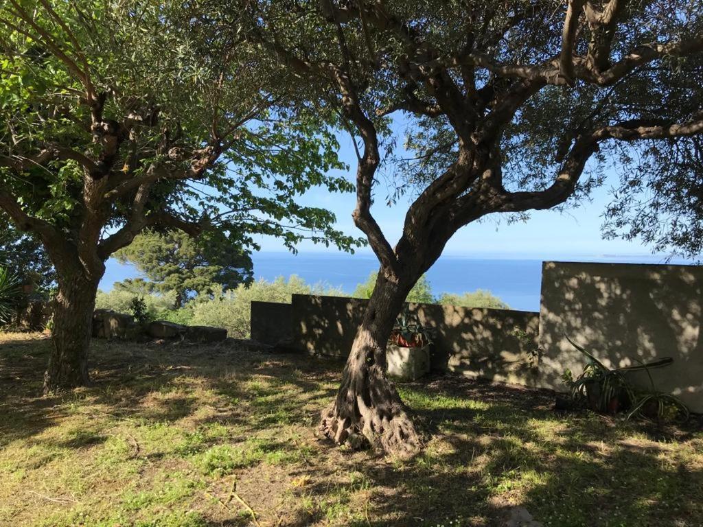 A Casa Di Peppino Villa Greco Tindari Kültér fotó