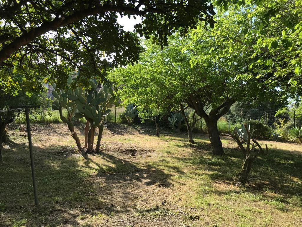 A Casa Di Peppino Villa Greco Tindari Kültér fotó